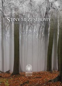 Stíny mezi stromy