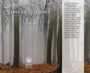 Stíny mezi stromy