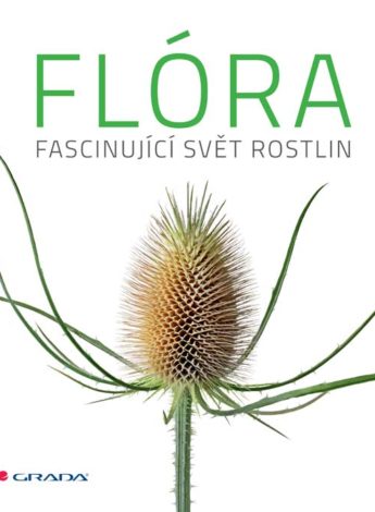 Flóra