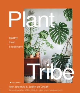 Plant tribe