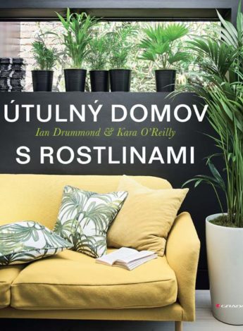 Útulný domov s rostlinami