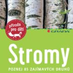 Stromy